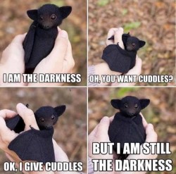 Black bat, apparently infant, held in hands for 4 frames, saying: I am the darkness; Oh, you want cuddles? OK, I give cuddles; but I am still the darkness.